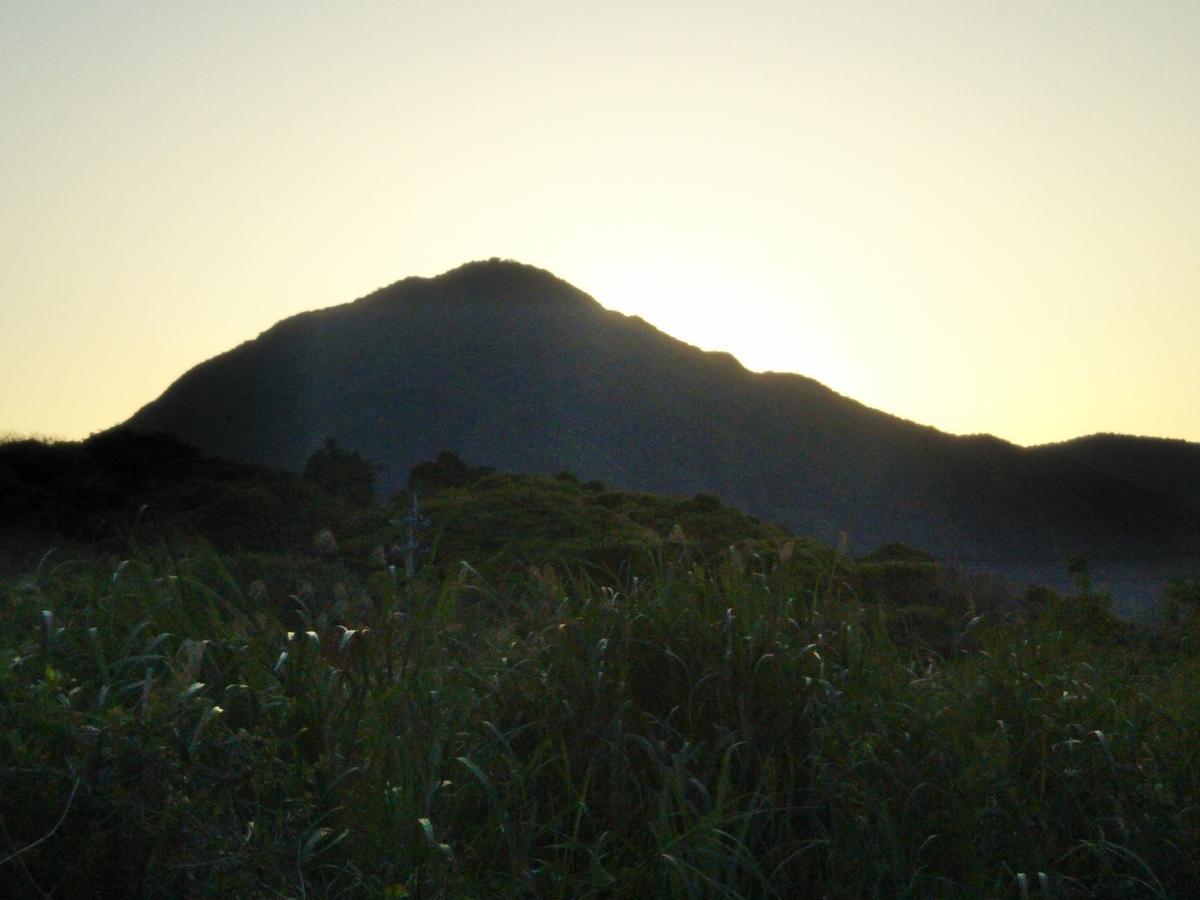 Cottage Yakusugi House Yakushima  Eksteriør bilde