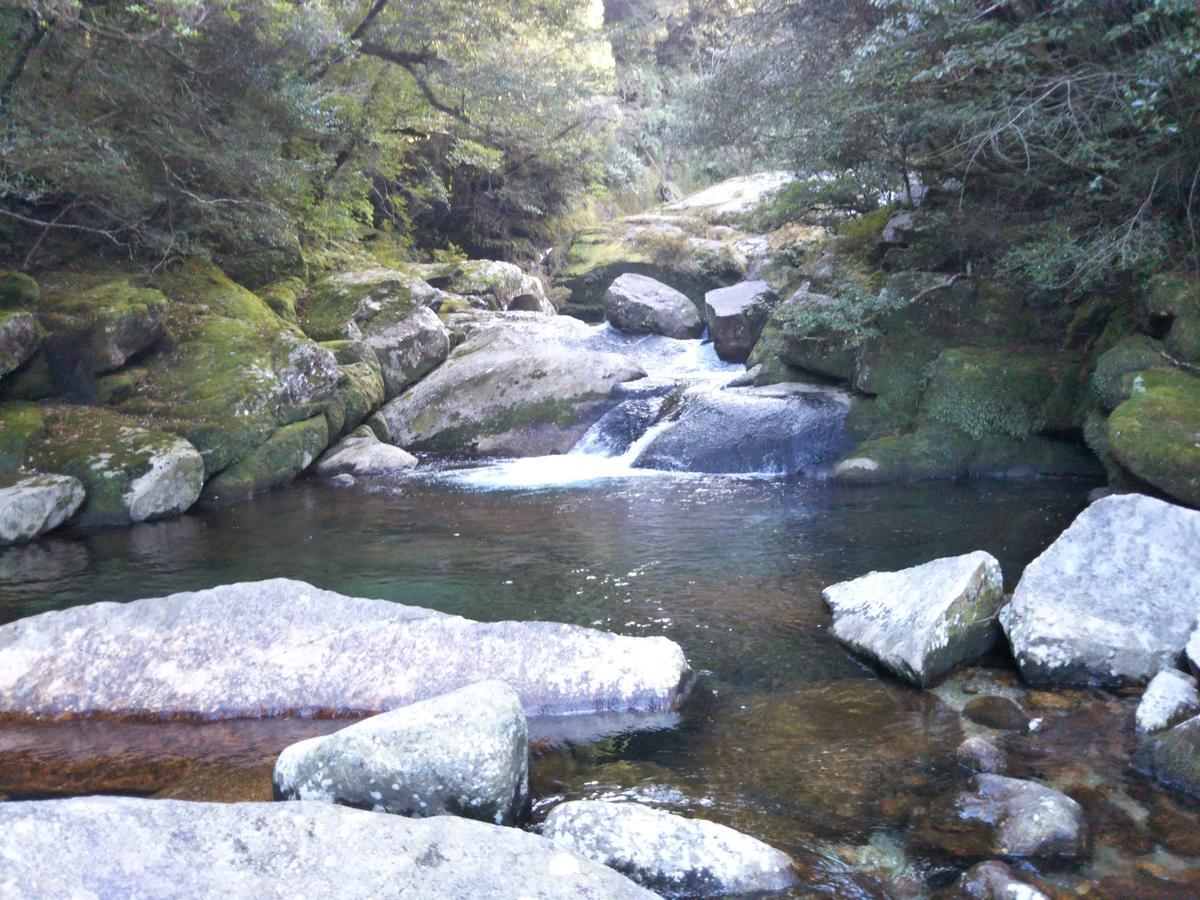 Cottage Yakusugi House Yakushima  Eksteriør bilde