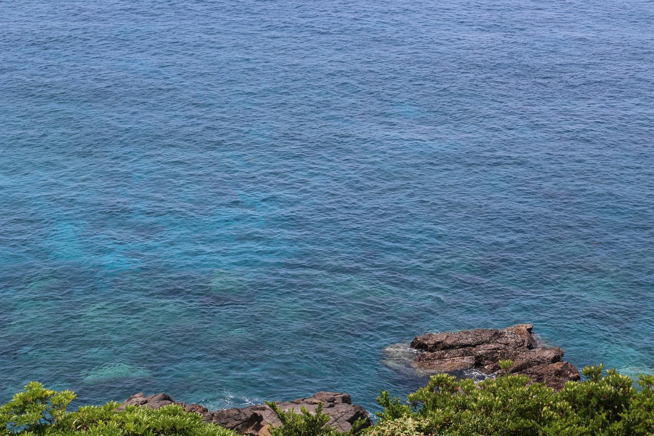Cottage Yakusugi House Yakushima  Eksteriør bilde