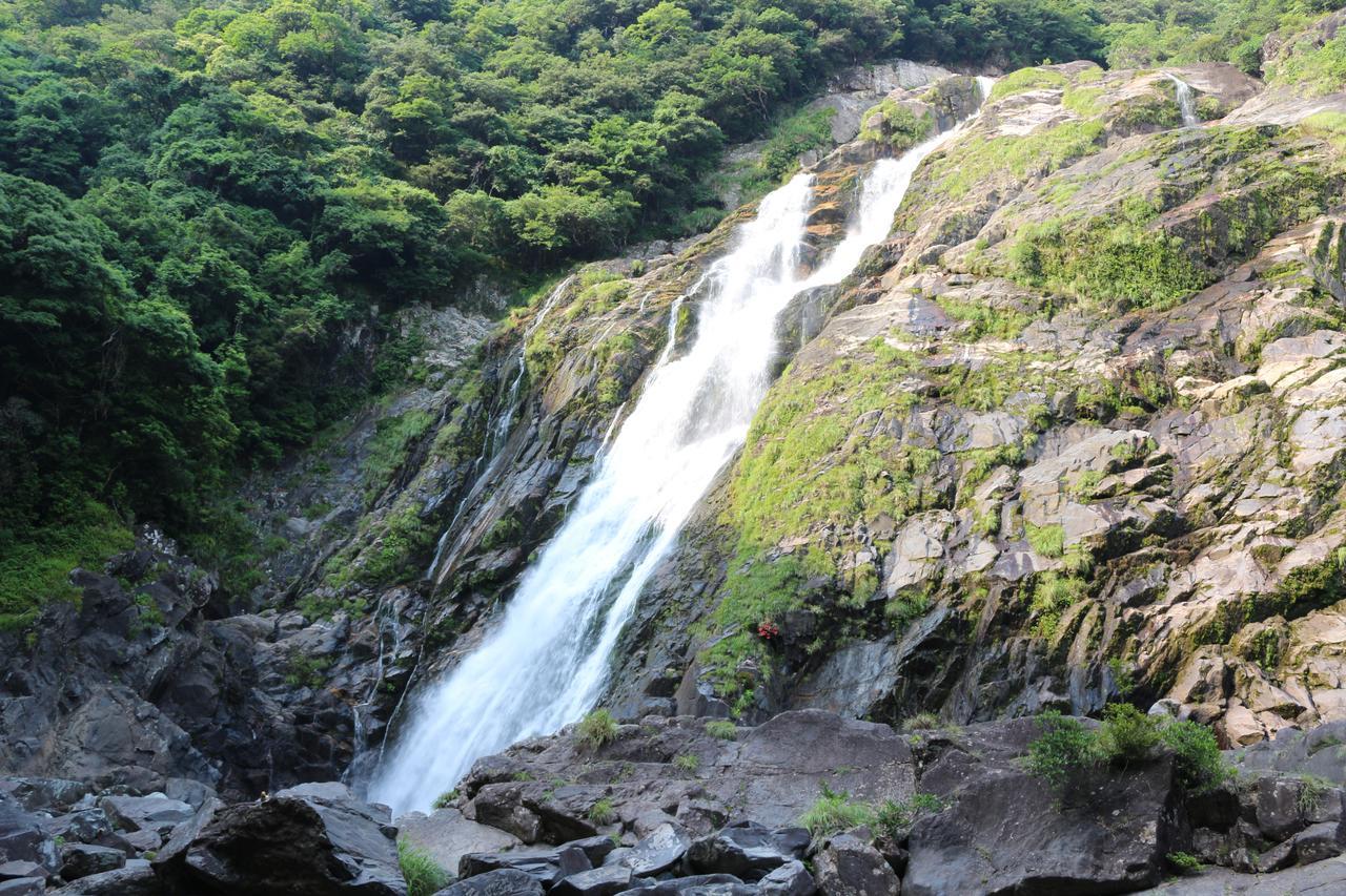 Cottage Yakusugi House Yakushima  Eksteriør bilde