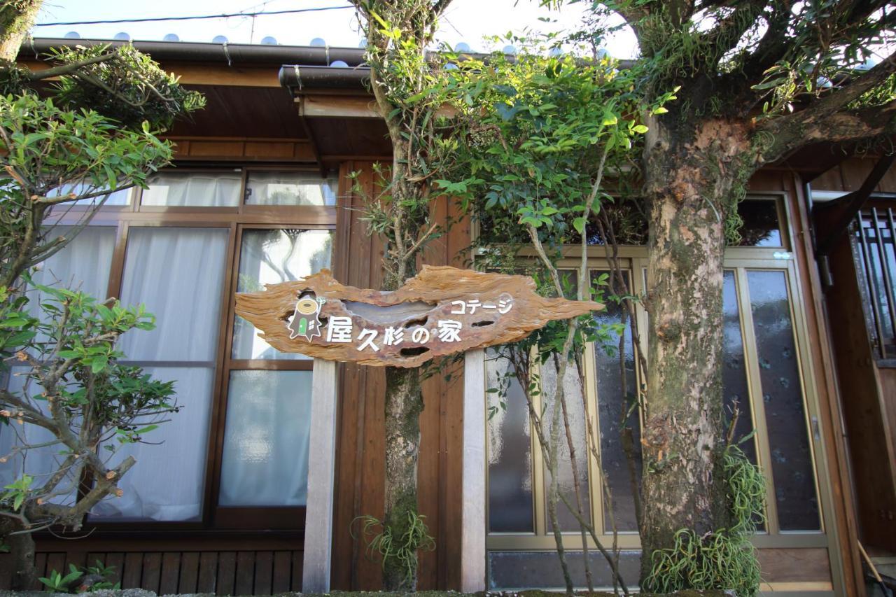Cottage Yakusugi House Yakushima  Eksteriør bilde